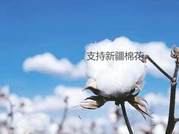 91视频免费观看阀门
