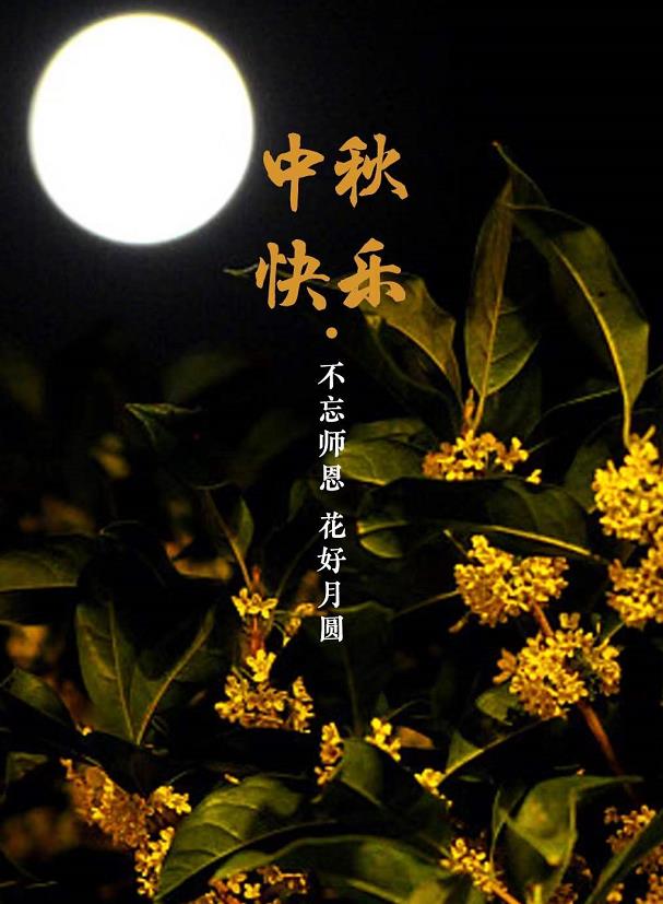 91视频免费观看阀门